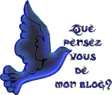 laisse des comentaires